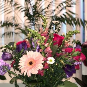 Meet your Posher, Lucia